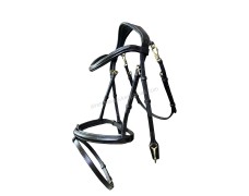 Leather Bridle 